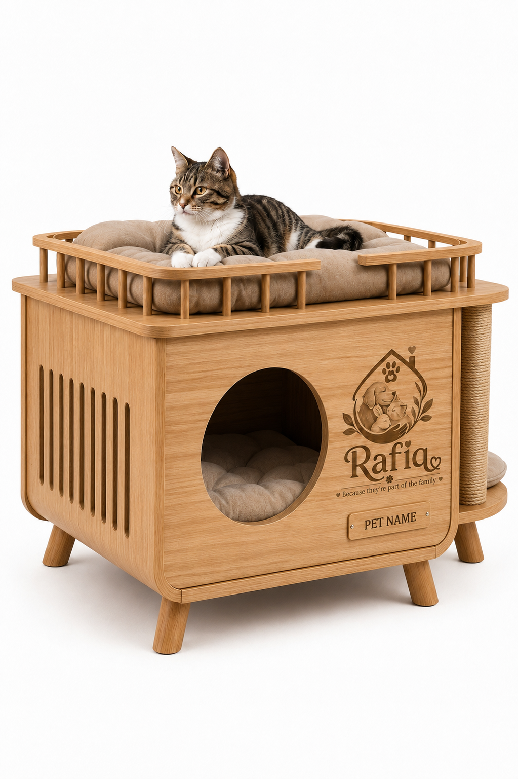 Cat House CH-02